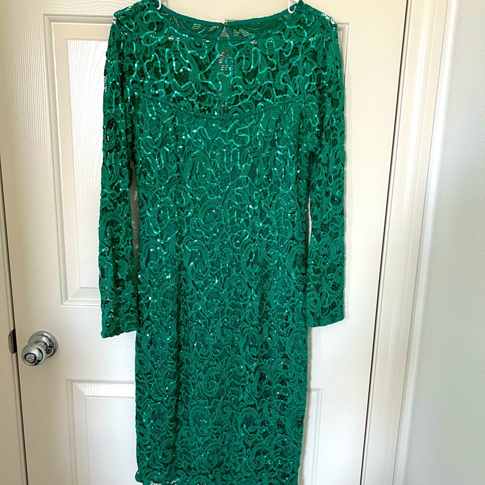Womens Lace Knee Length Long Sleeve Dress Size 10